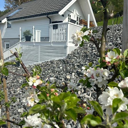 Fjord Road Apartment Hjelmeland ภายนอก รูปภาพ