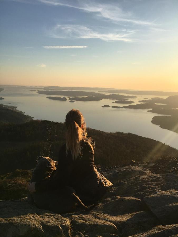 Fjord Road Apartment Hjelmeland ภายนอก รูปภาพ